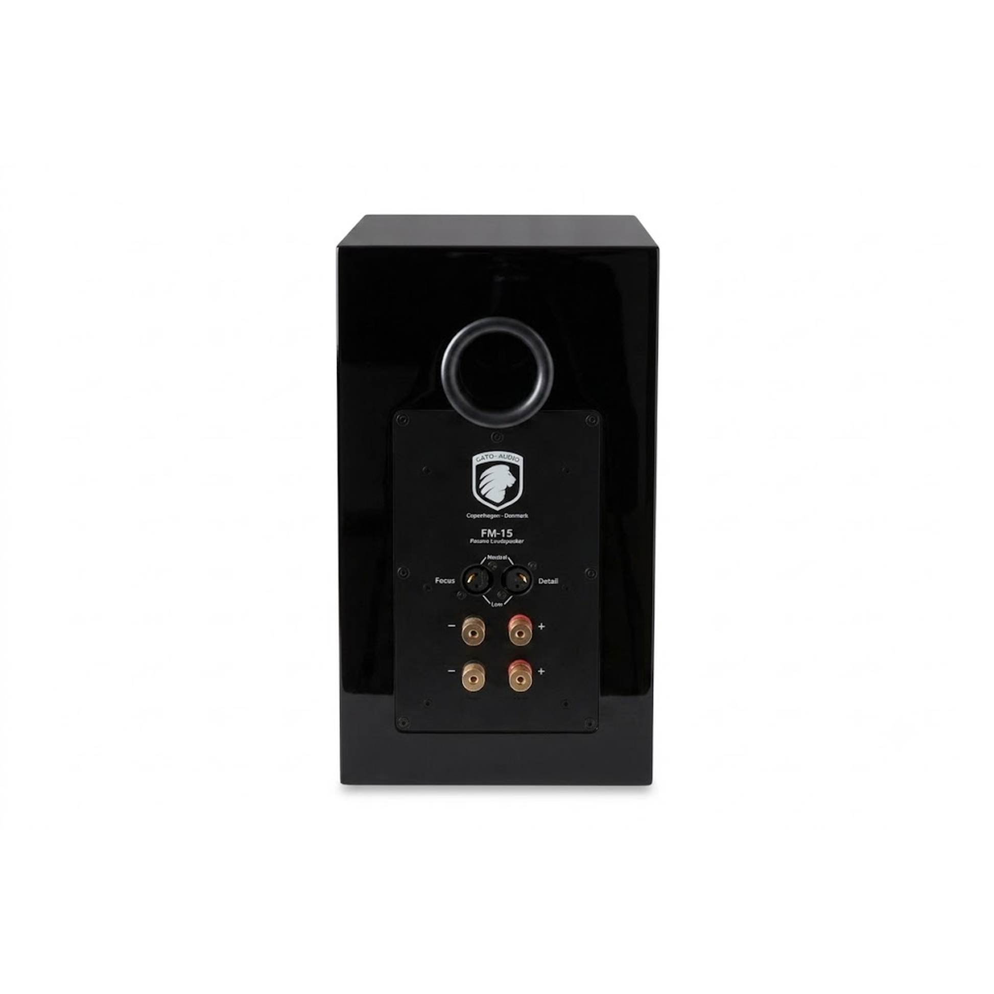 Gato Audio FM-15 Regallautsprecher Schwarz Hochglanz Rückansicht mit Bassreflexöffnung und Anschlussklemmen