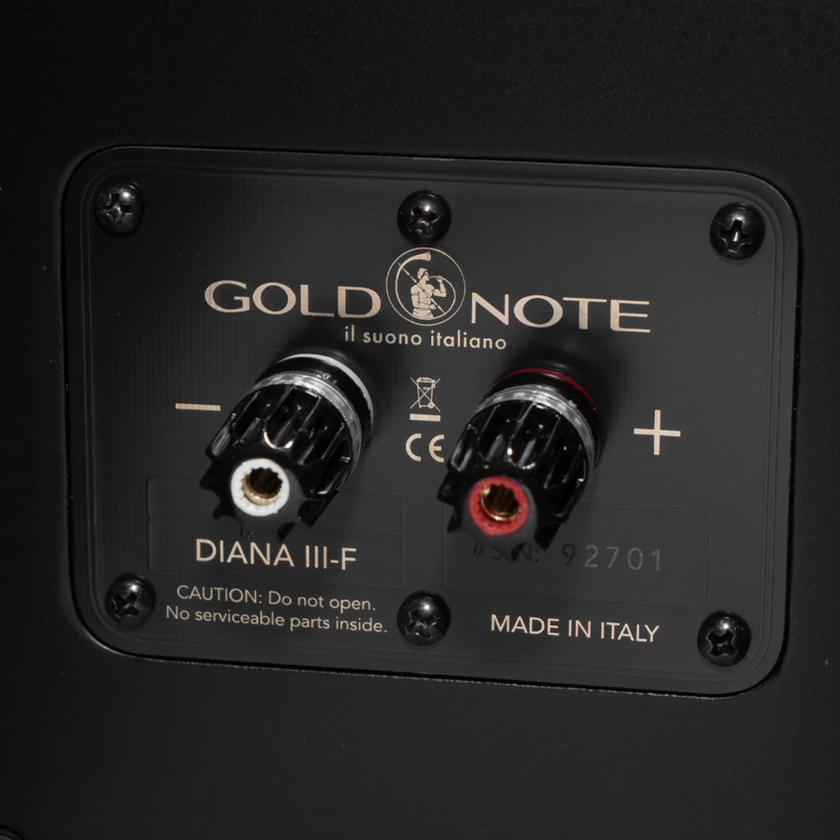Gold Note Diana III-F Bass-Erweiterung Schwarz Anschlussfeld mit Lautsprecherterminal