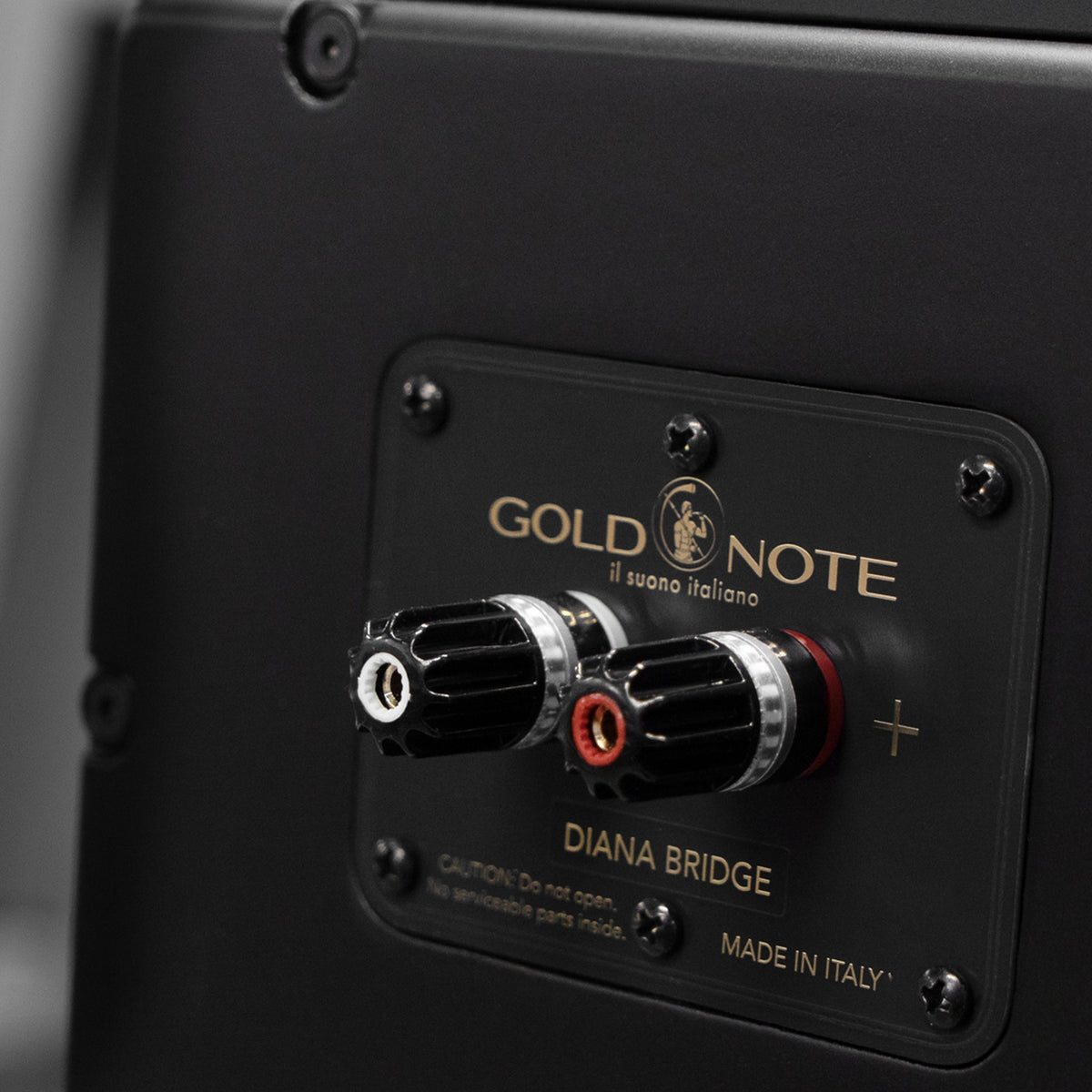 Gold Note Diana III-F Bass-Erweiterung Schwarz Detailansicht Diana-Bridge-Terminal zur Verbindung mit Diana I oder II