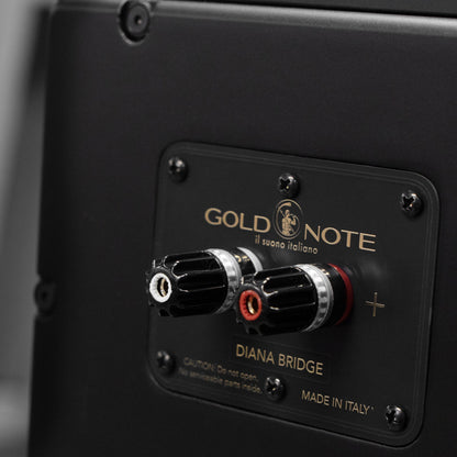 Gold Note Diana III-F Bass-Erweiterung Schwarz Detailansicht Diana-Bridge-Terminal zur Verbindung mit Diana I oder II