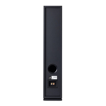 HiFi-Set Bluesound Powernode + Argon Forus 55 Schwarz Rückansicht des Forus 55 mit Bassreflexöffnung und Klemmen