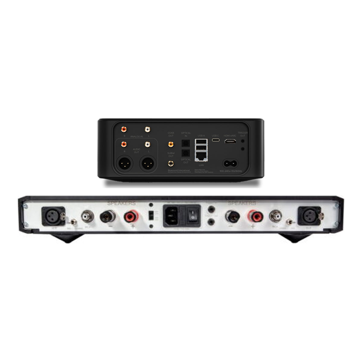 HiFi-Set NuPrime Evolution STA-SE und Bluesound Node Icon Rückansicht mit XLR-, Cinch- und Trigger-Anschlüssen