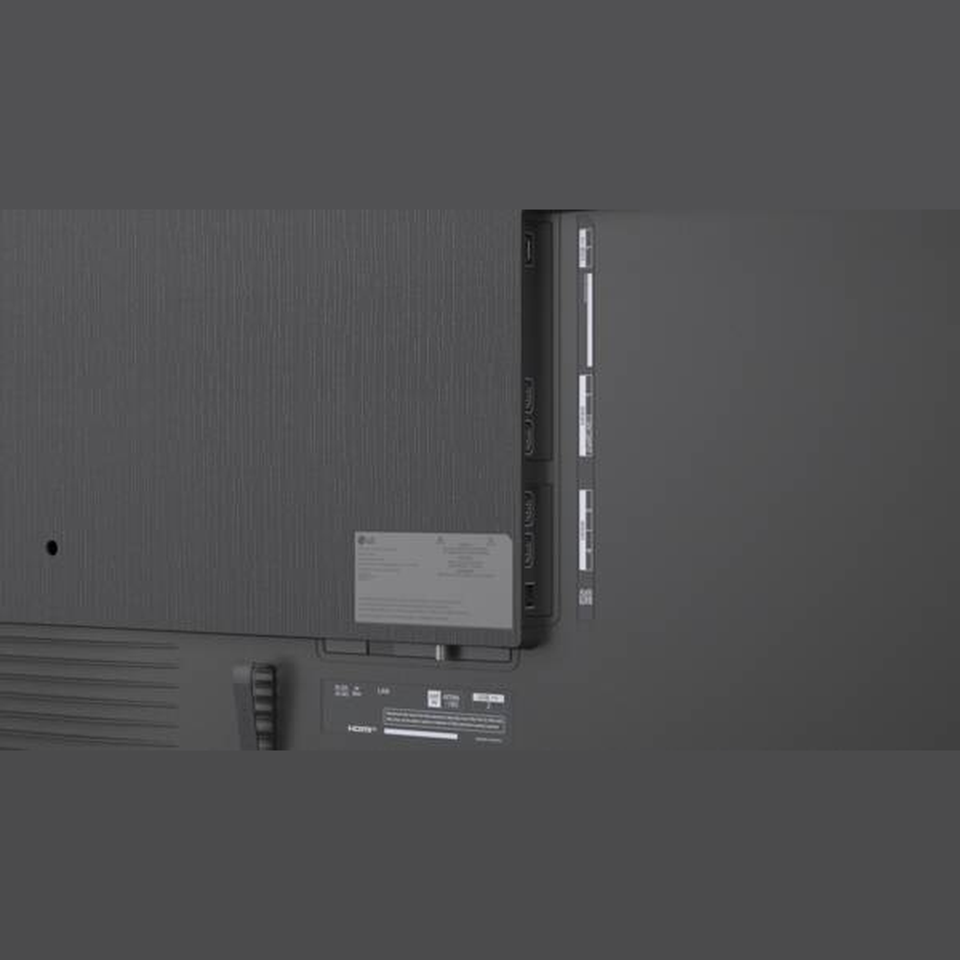 LG 100MRGB96B9 Micro-RGB-Fernseher Anschlussfeld auf der Rückseite
