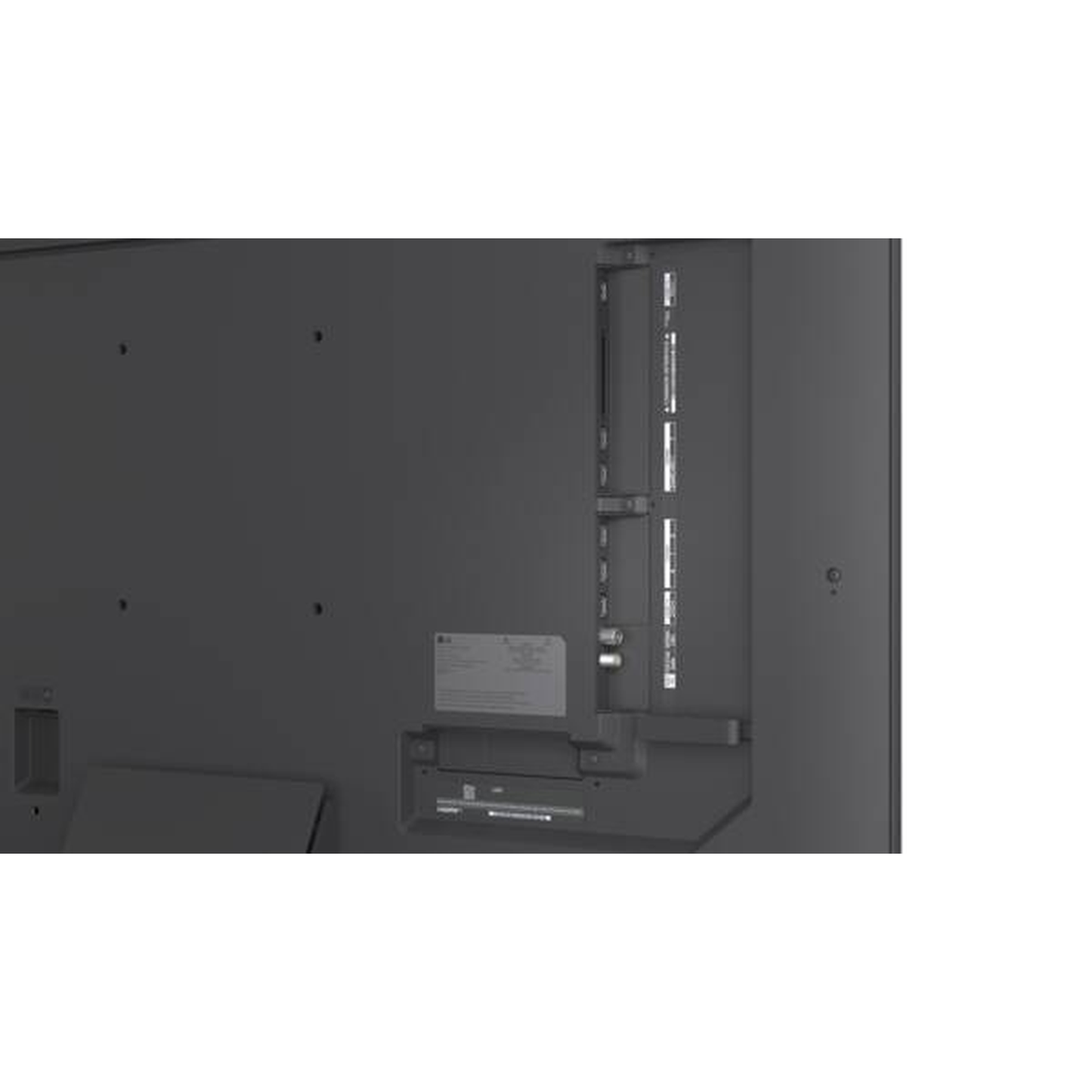 LG 50MRGB88B9B Mini-RGB-Fernseher Anschlussfeld