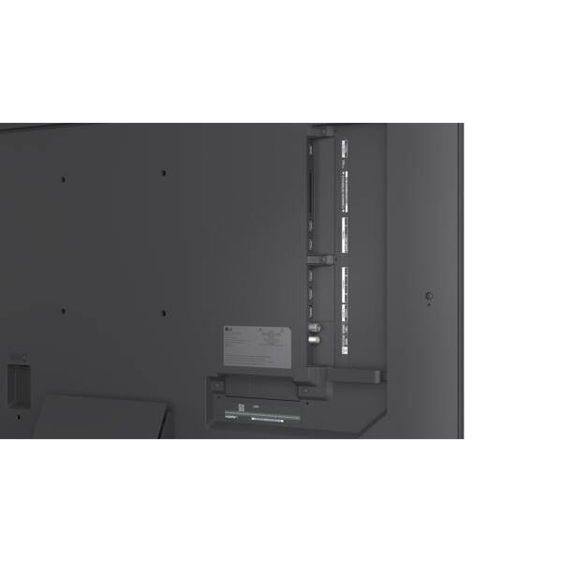 LG 50MRGB88B9B Mini-RGB-Fernseher Anschlussfeld