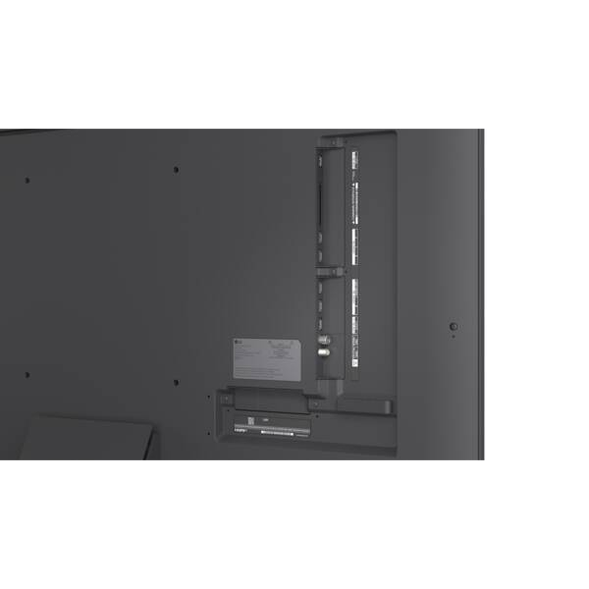 LG 55MRGB88B9B Mini-RGB-Fernseher Anschlussfeld