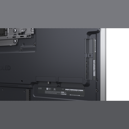 LG OLED55G67LW OLED-Fernseher Anschlussfeld auf der Rueckseite