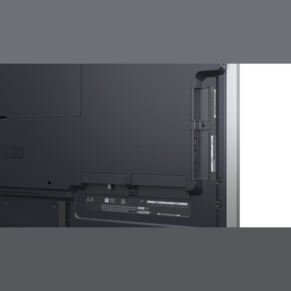 LG OLED55G69LS OLED-Fernseher Anschlussfeld auf der Rueckseite