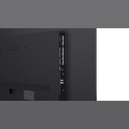 LG OLED65C69LB OLED-Fernseher Anschlussfeld auf der Rueckseite
