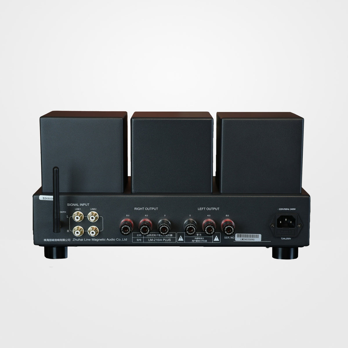 Line Magnetic LM-216IA Plus Vollverstärker, Rückansicht mit Anschlussfeld