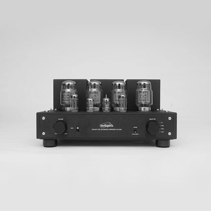 Line Magnetic LM-216IA Röhren-Vollverstärker Frontansicht