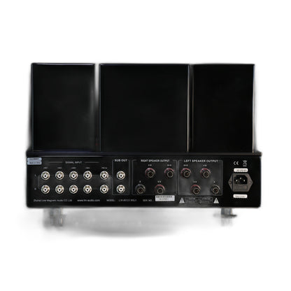 Line Magnetic LM-805IA MKII Vollverstärker, Rückansicht mit Lautsprecherausgängen auf weissem Hintergrund