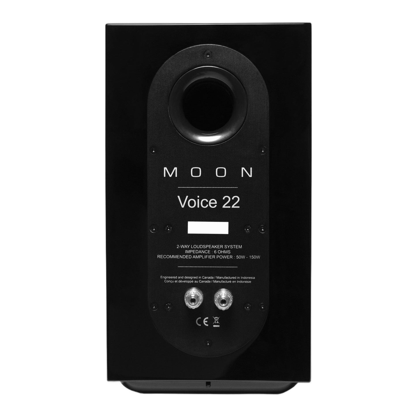 MOON Voice 22 Regallautsprecher Rückansicht schwarz hochglanz – im Set schwarz/schwarz