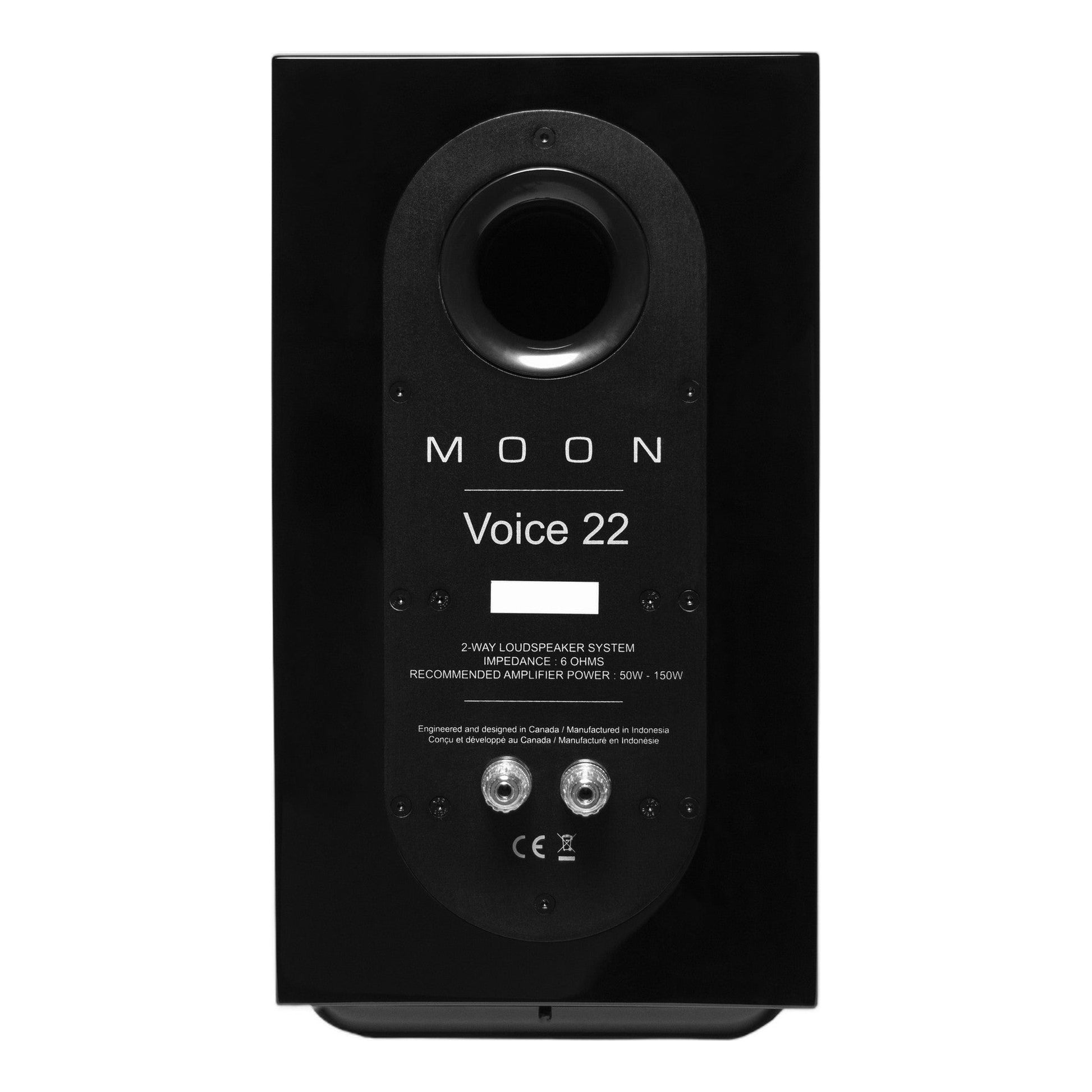 MOON Voice 22 Regallautsprecher Rückansicht schwarz hochglanz – im Set silber-schwarz/schwarz