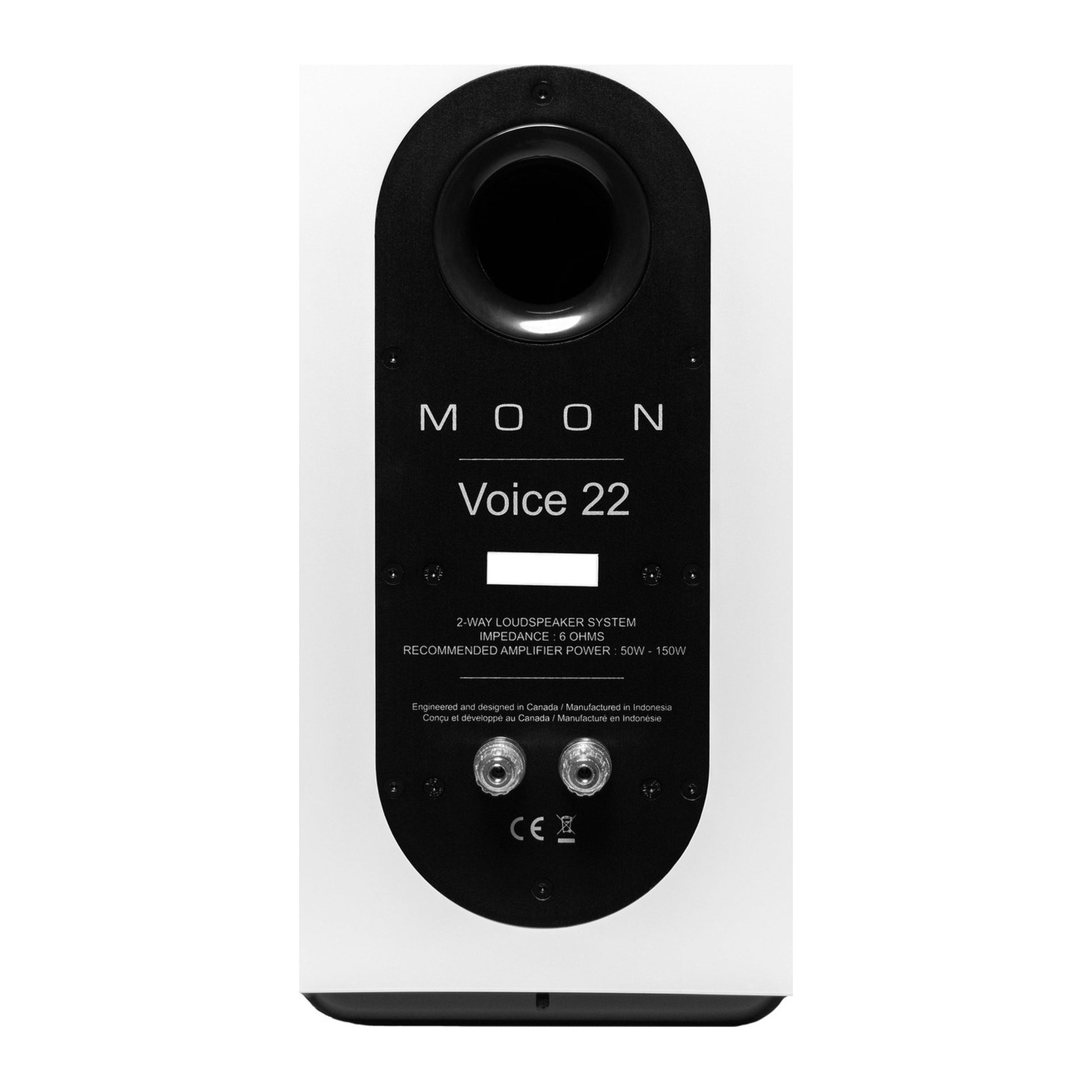 MOON Voice 22 Regallautsprecher Rückansicht weiss hochglanz – im Set silber-schwarz/weiss