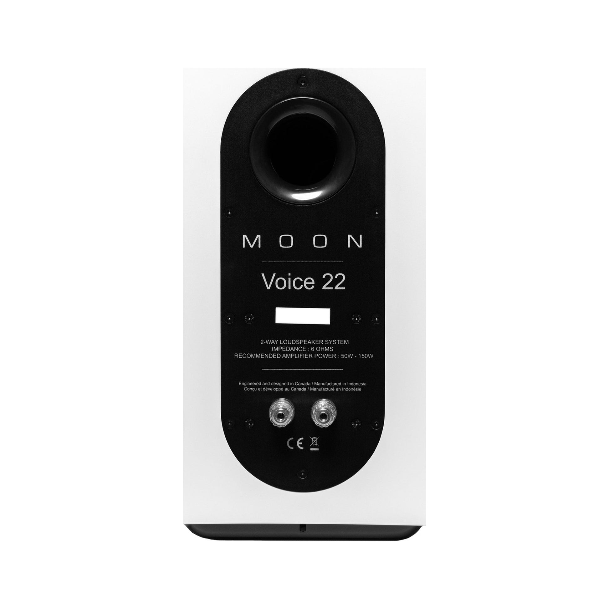MOON Voice 22 Regallautsprecher Rückansicht weiss hochglanz