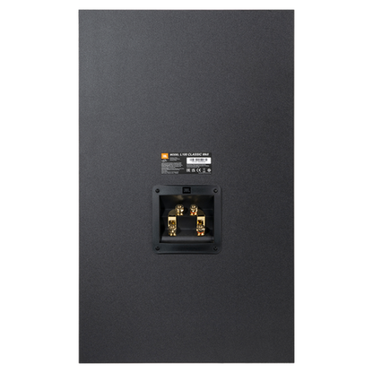 NAD C3050 + JBL L100 MKII HiFi-Set Anschlussfeld Lautsprecher mit Lautsprecherterminal