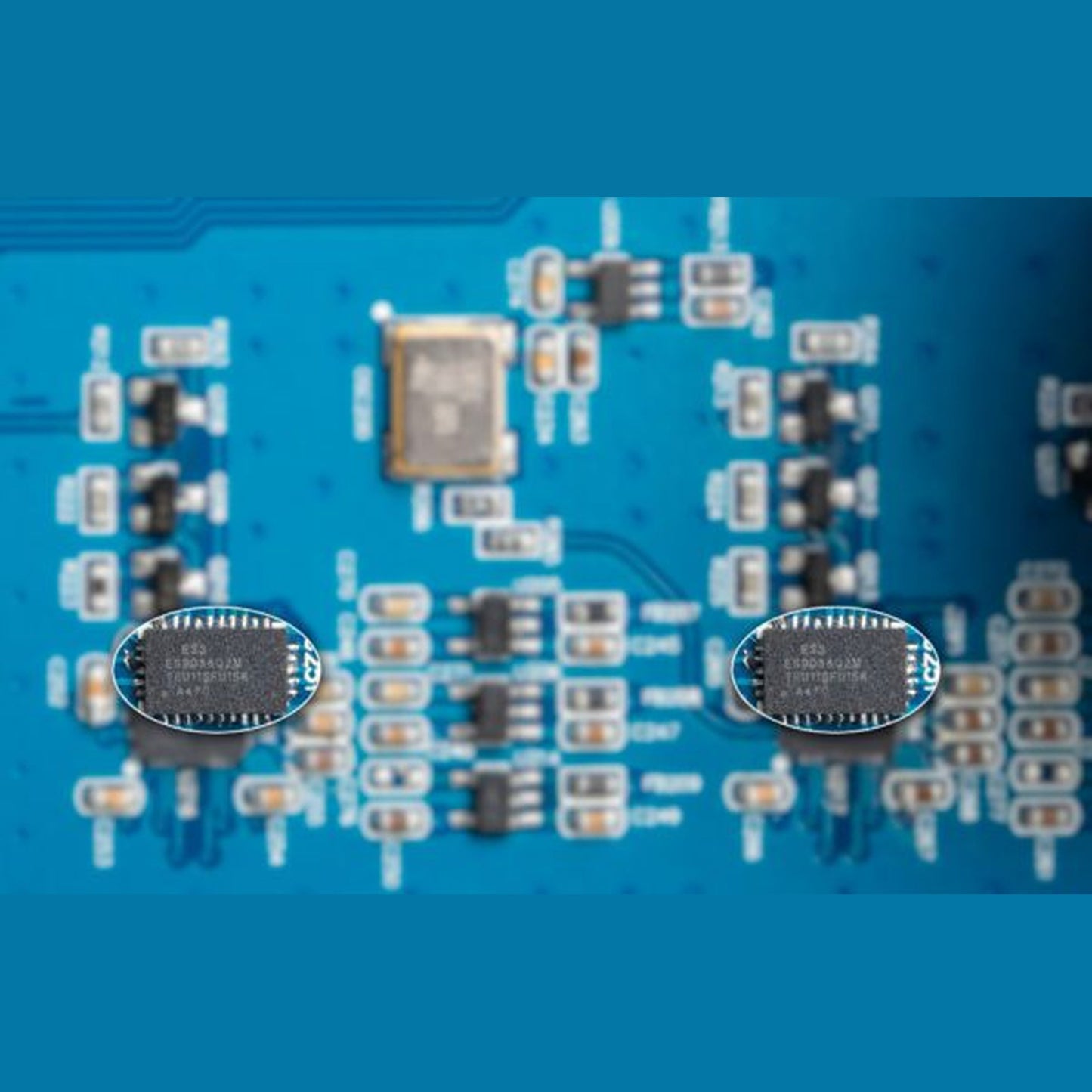 NuPrime AMG DAC D/A-Wandler mit Vorstufe Detailansicht der beiden ESS-Wandlerchips