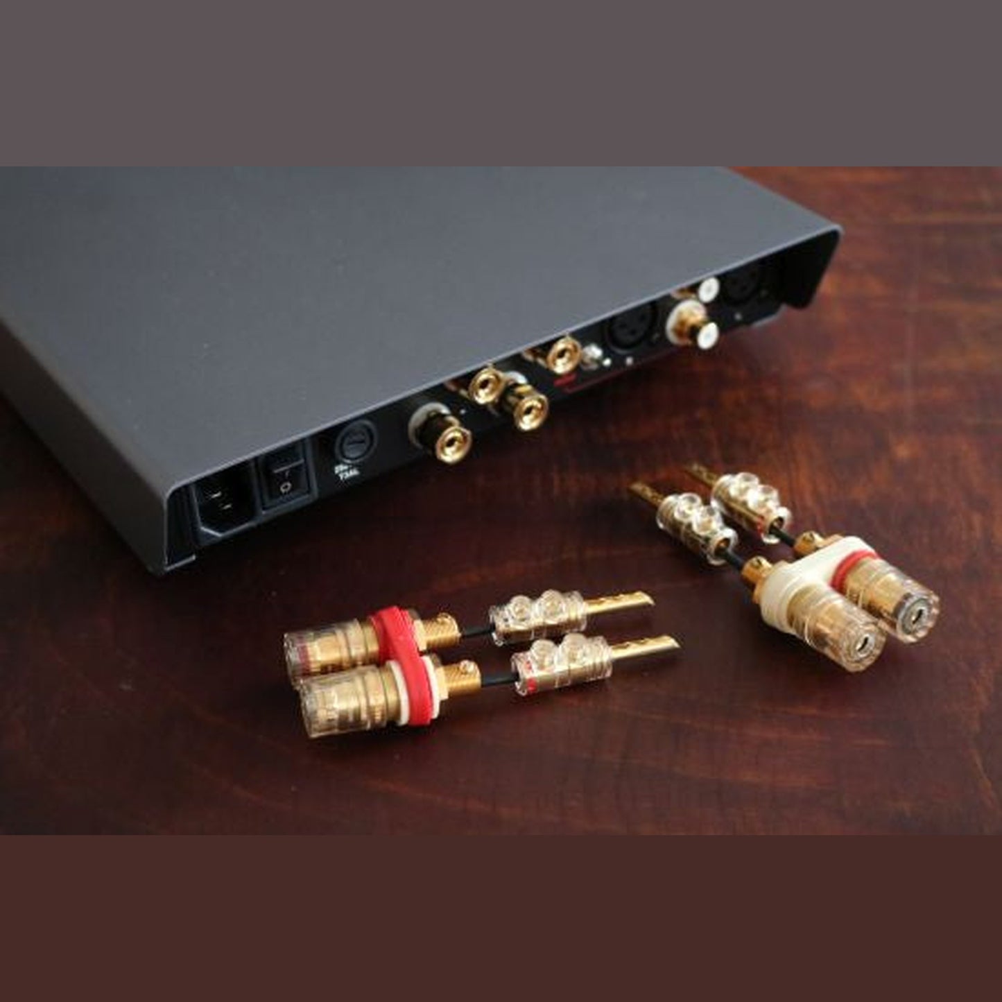 NuPrime AMG STA-SE Stereo-Endstufe Anschlussfeld mit Lautsprecherklemmen und Bananensteckern