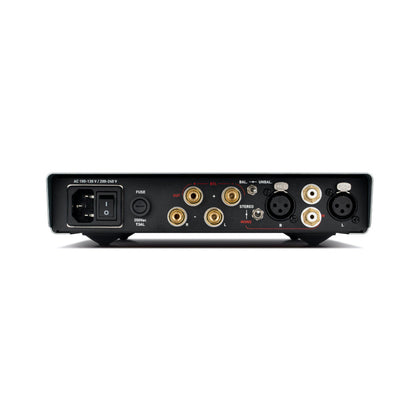 NuPrime AMG STA-SE Stereo-Endstufe Rückansicht mit Lautsprecherklemmen, Cinch- und XLR-Eingang