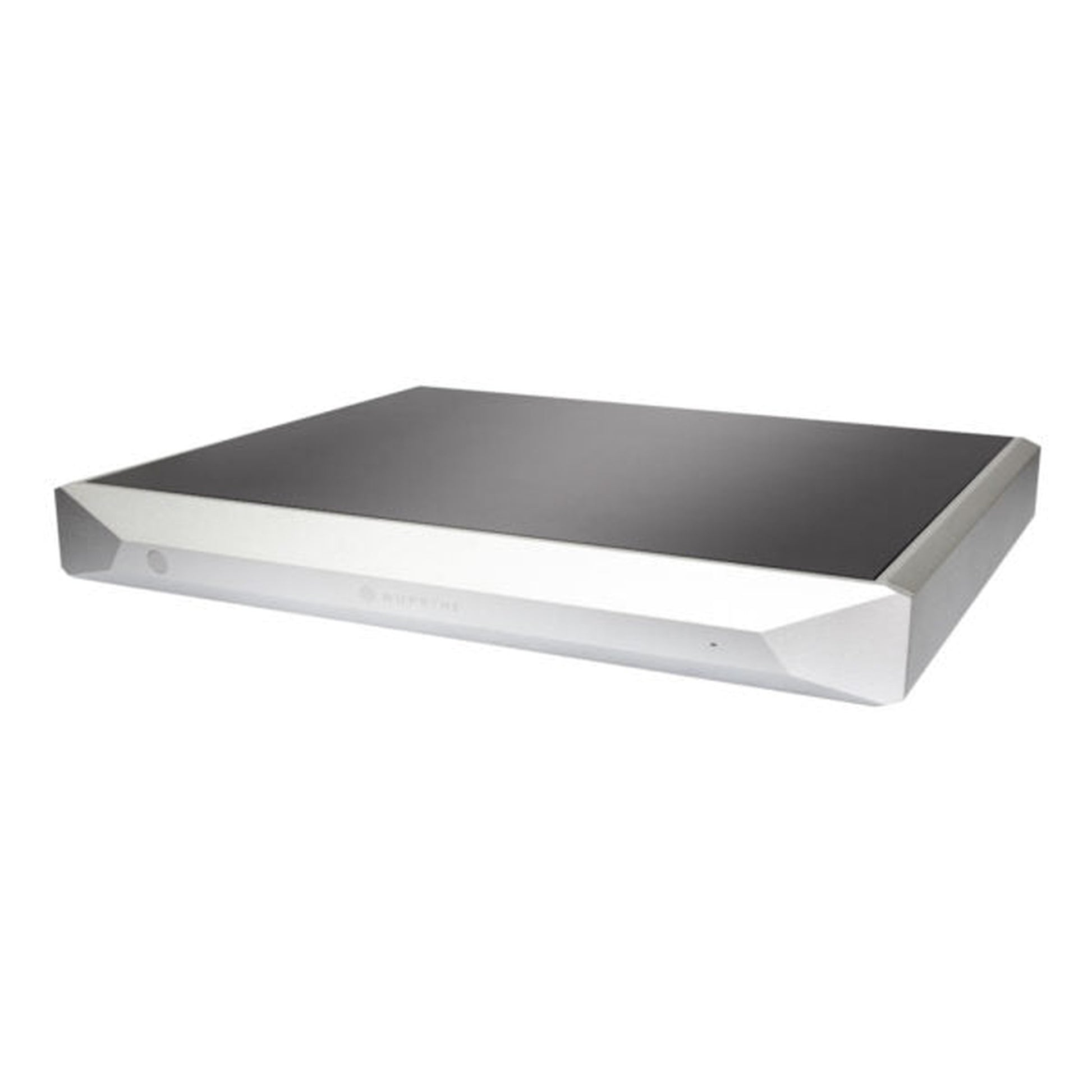 NuPrime Evolution TWO-SE Mono-Endstufe Schrägansicht in Silber (2)