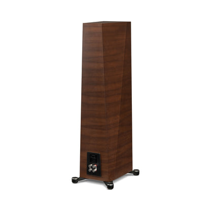 Paradigm Founder 100F Standlautsprecher Rückansicht schräg mit Anschlussfeld, Walnut