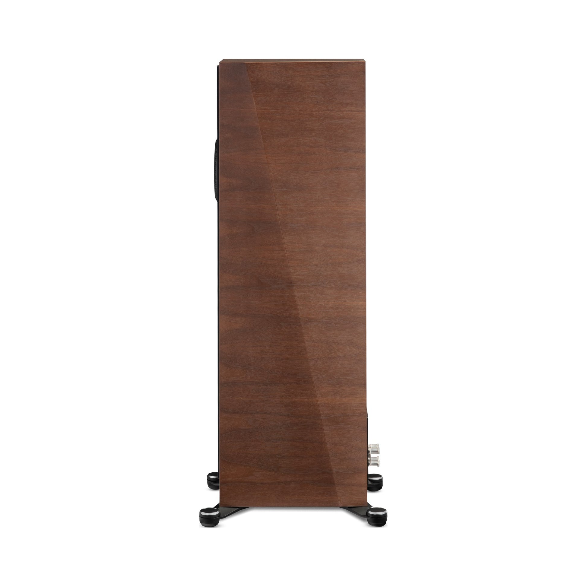 Paradigm Founder 100F Standlautsprecher Seitenansicht, Walnut