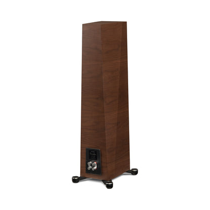 Paradigm Founder 80F Standlautsprecher Rückansicht schräg mit Anschlussfeld, Walnut