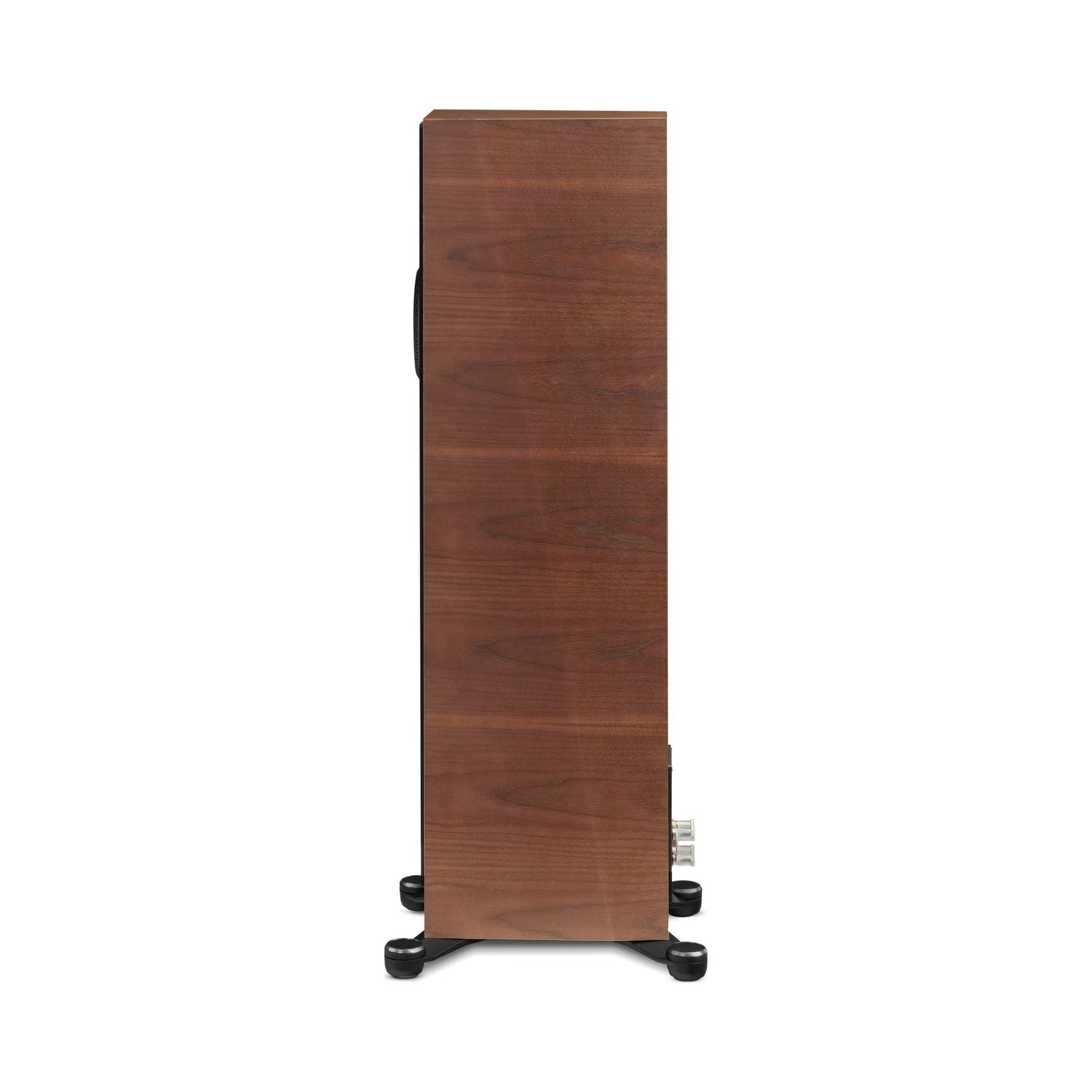 Paradigm Founder 80F Standlautsprecher Seitenansicht, Walnut