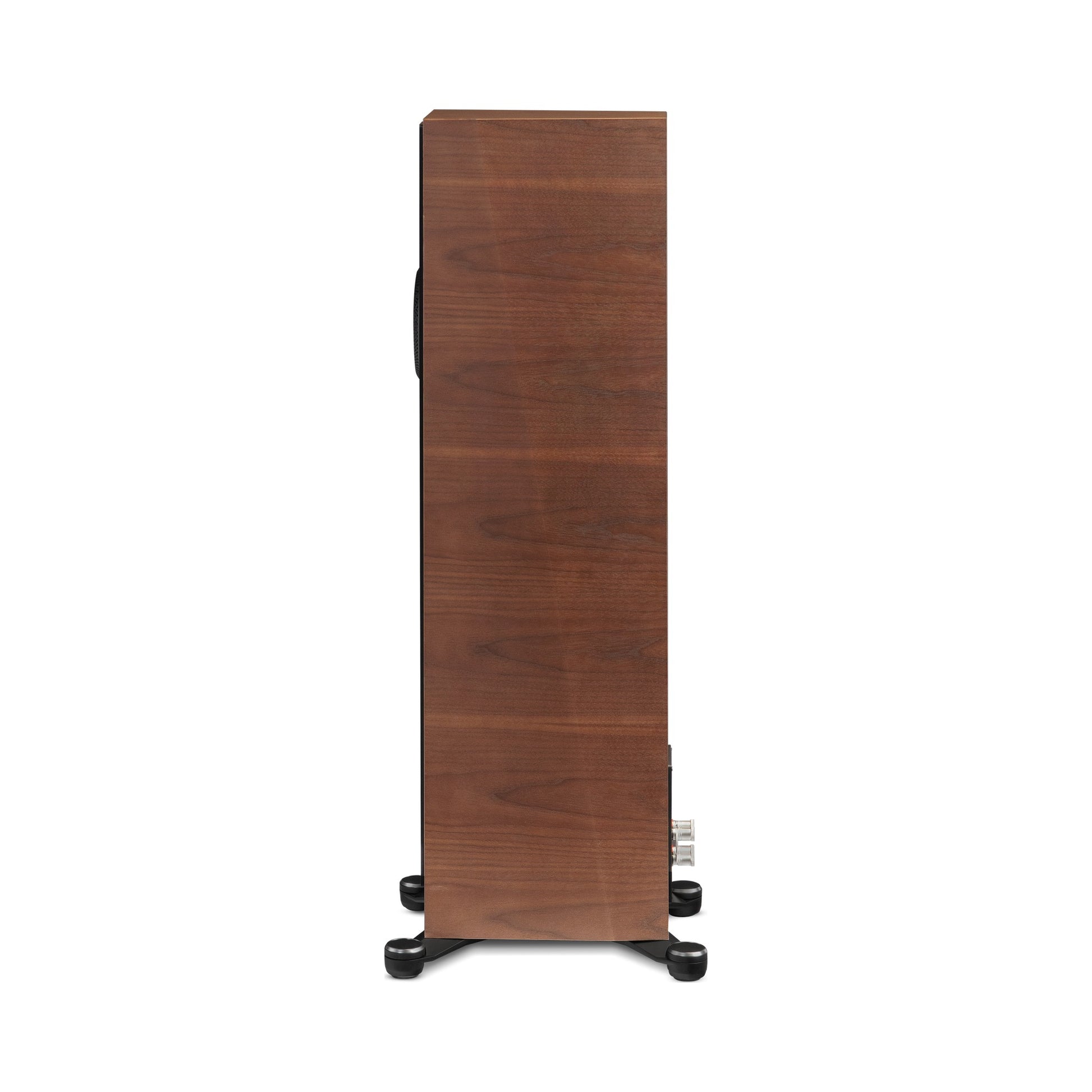Paradigm Founder 80F Standlautsprecher Seitenansicht, Walnut