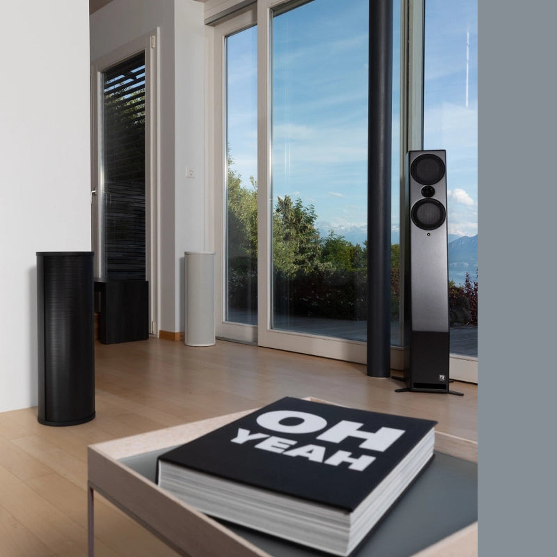 PSI Audio AVAA C214 Aktive Bassfalle Lifestyle im Wohnraum schwarze und weisse Variante