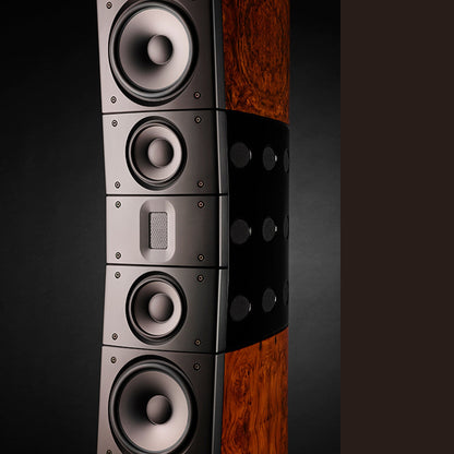 Raidho TD6 Standlautsprecher Detailansicht Treiberbestückung in Walnut Burl