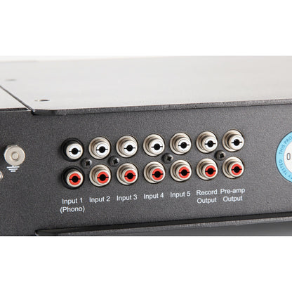 Rega Elex MK4 Vollverstärker Detailansicht beschriftete Cinch-Eingänge