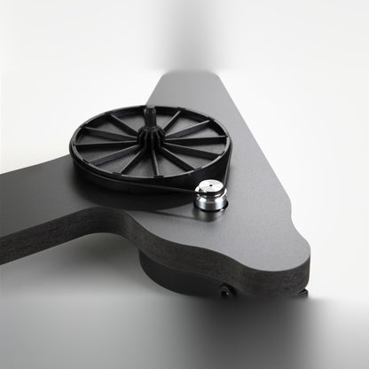 Rega Replay Plattenspieler mit Carbon-Tonabnehmer, Detailansicht