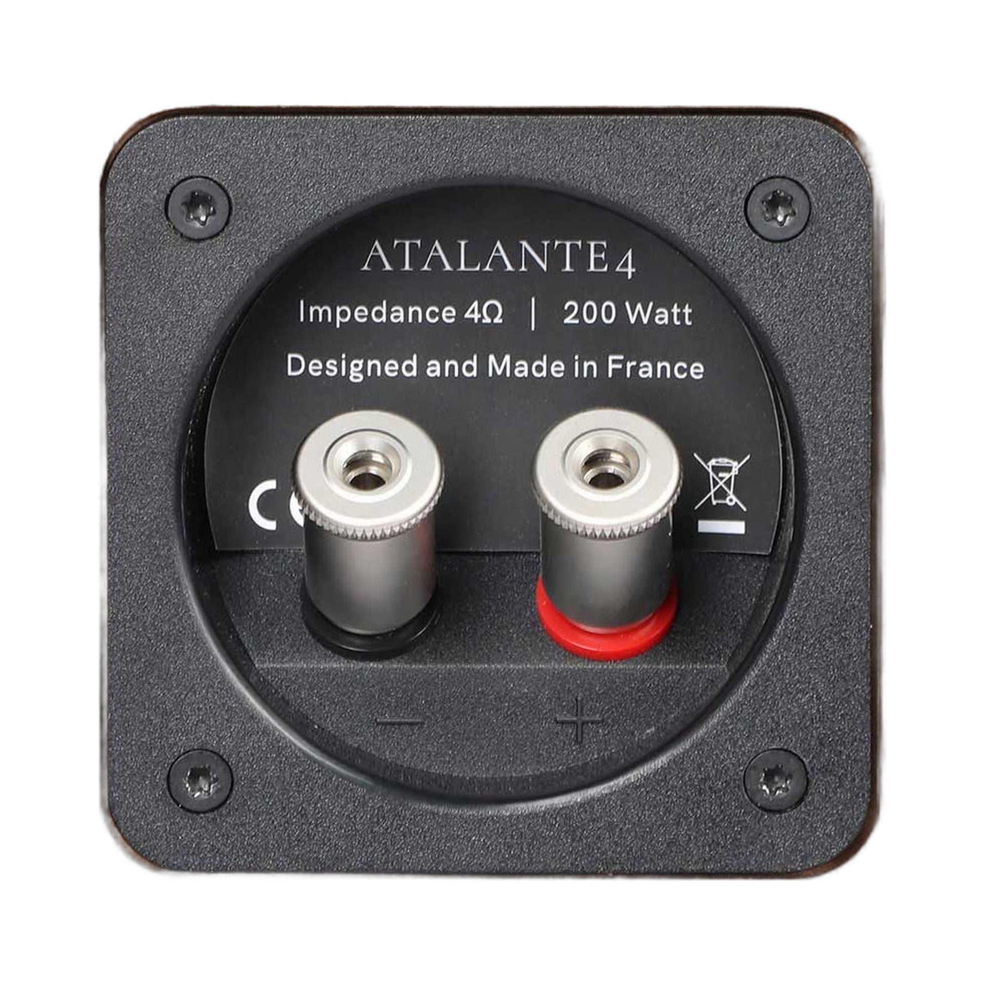 Revival Audio Atalante 4 Standlautsprecher Ebony Anschlussfeld mit Terminal 4 Ohm 200 Watt