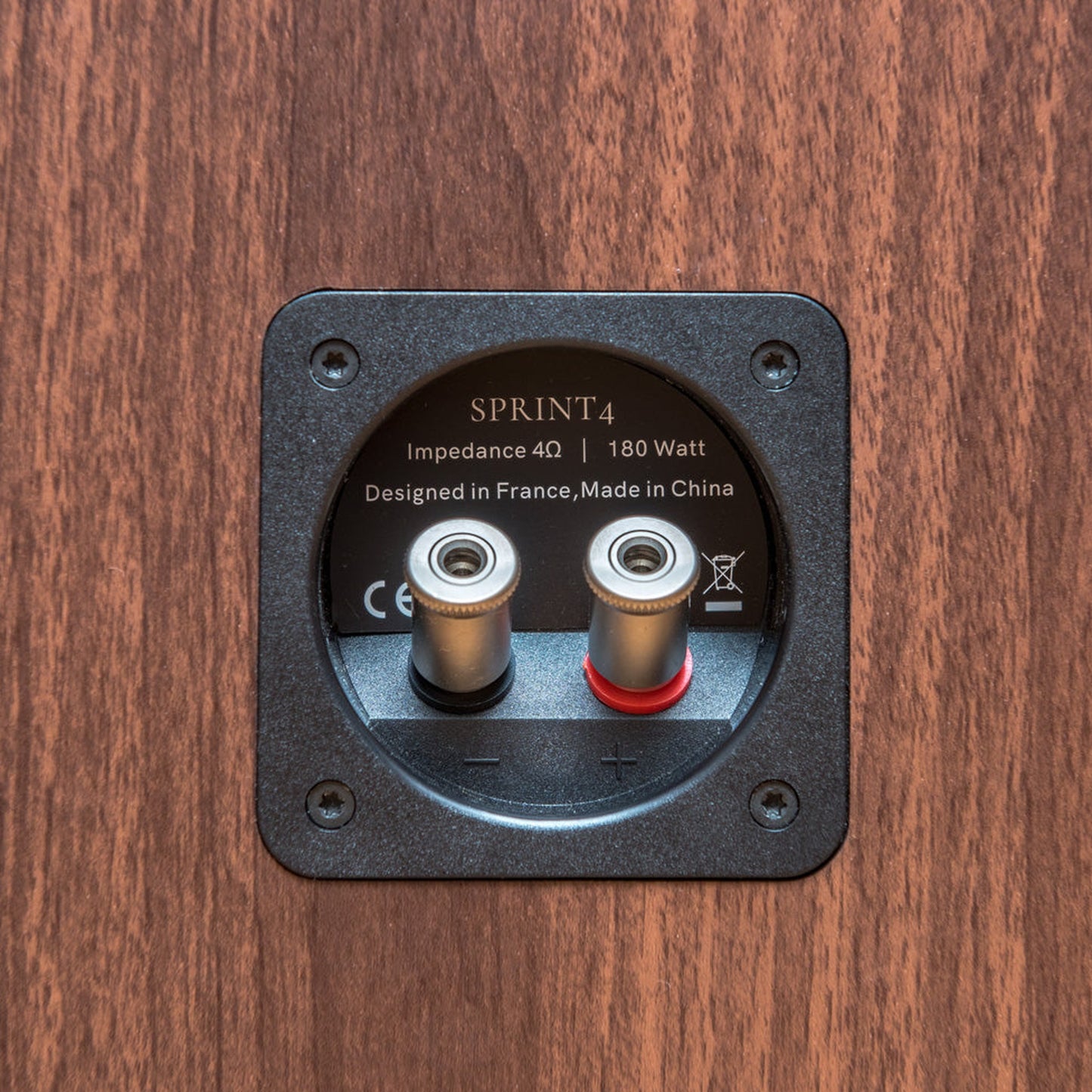 Revival Audio Sprint 4 Standlautsprecher Anschlussfeld mit Bi-Wiring-Terminal