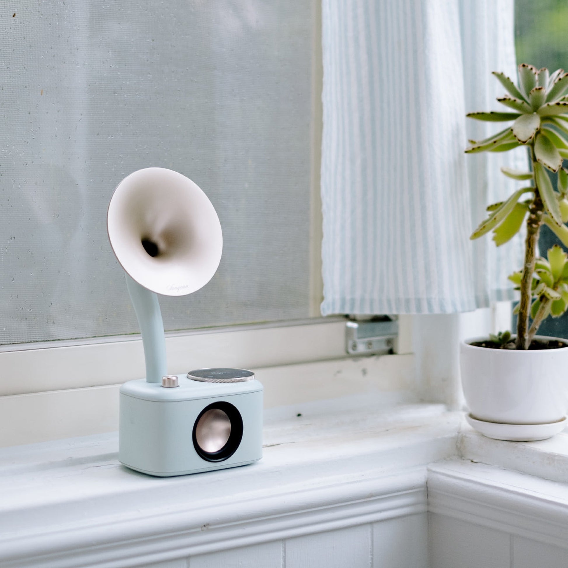 Sangean CP-100D DAB+/UKW Radio Lifestyle auf Fensterbank neben Sukkulente in Minty-Gold