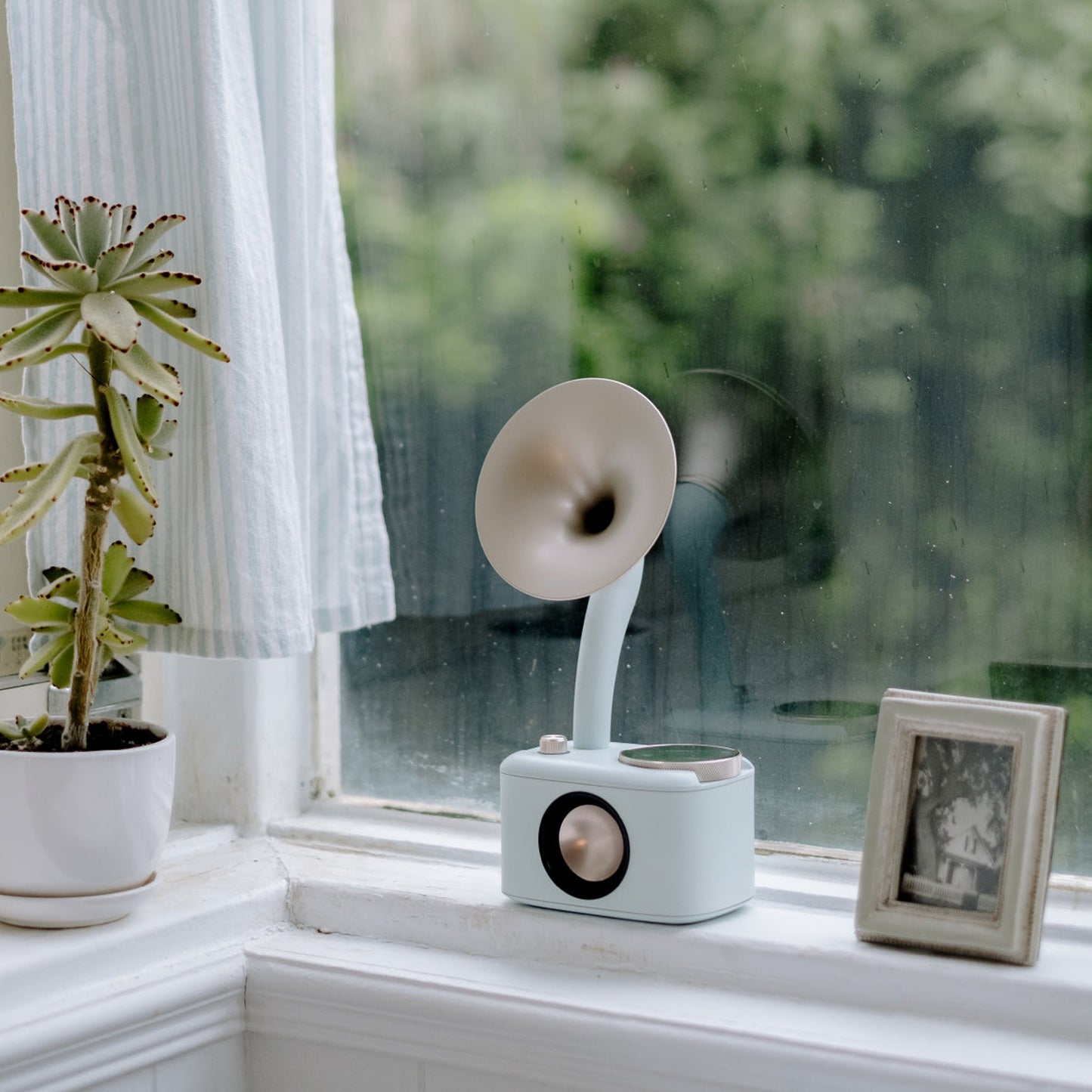 Sangean CP-100D DAB+/UKW Radio Lifestyle auf Fensterbank neben Bilderrahmen in Minty-Gold