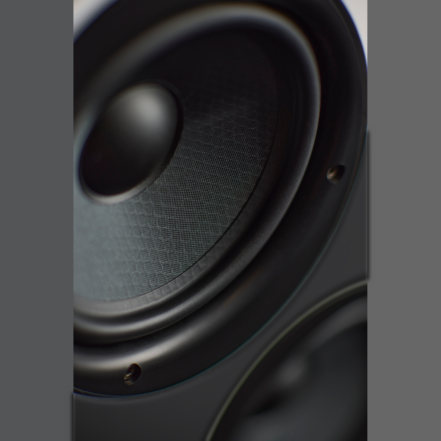 Scansonic HD M15.2 Regallautsprecher Detailansicht Tief-/Mitteltöner mit Honeycomb-Membran