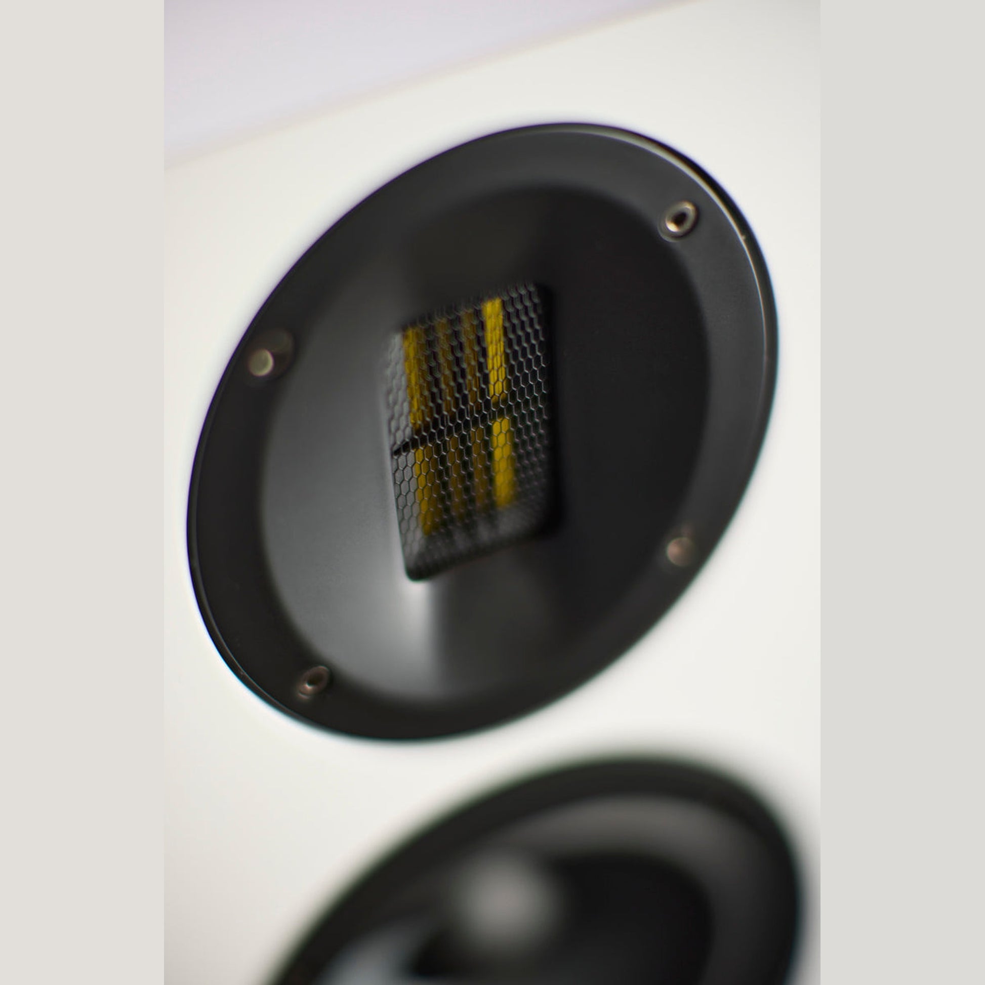 Scansonic HD M15.2 Regallautsprecher Detailansicht Bändchenhochtöner im Wellenleiter in Weiss