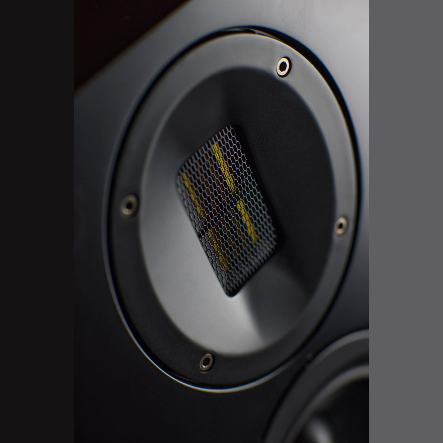 Scansonic HD M30.2 Standlautsprecher Detailansicht Bändchenhochtöner im Wellenleiter in Schwarz
