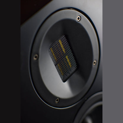 Scansonic HD M30.2 Standlautsprecher Detailansicht Bändchenhochtöner im Wellenleiter in Schwarz