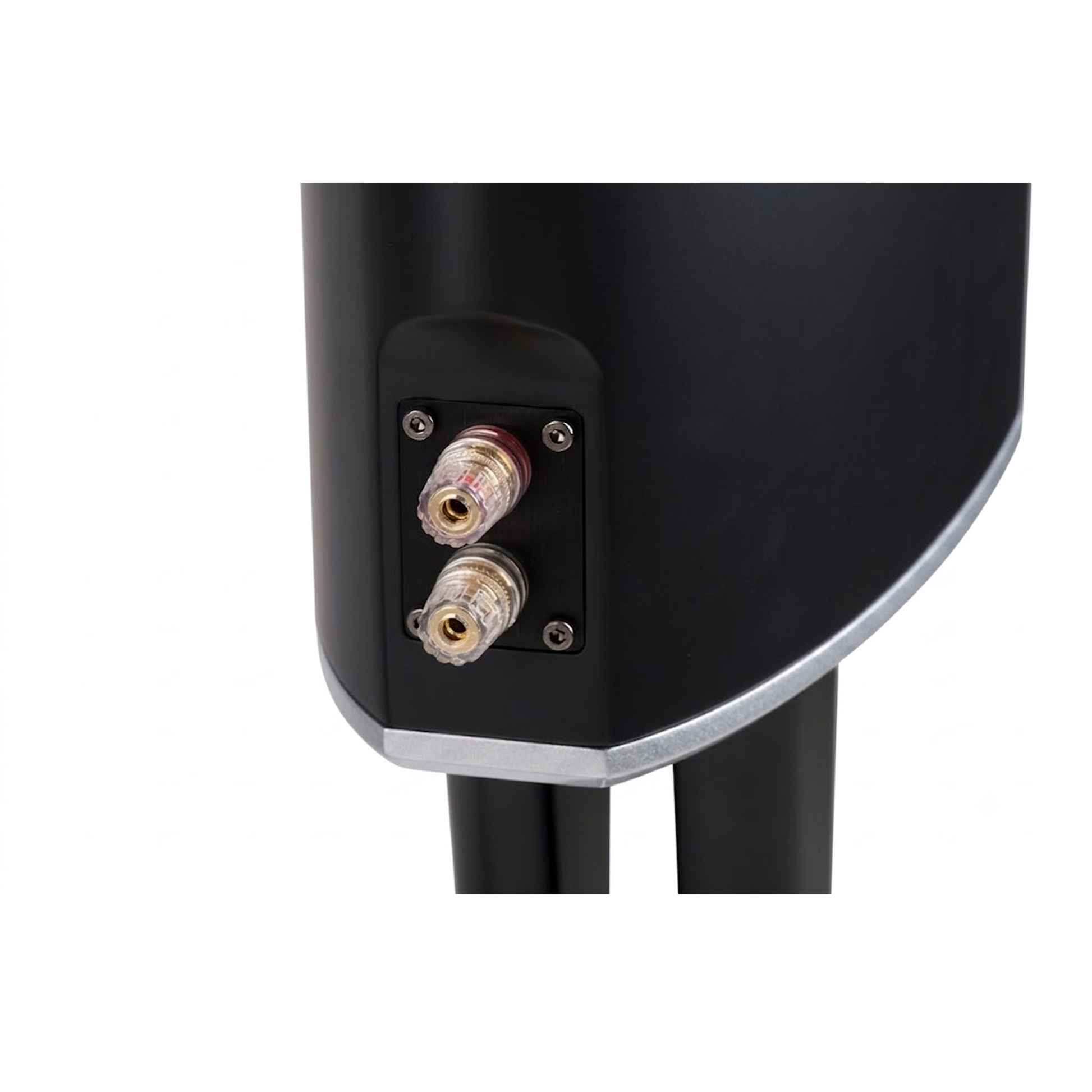 Scansonic HD MB1 B Regallautsprecher Anschlussfeld mit Schraubklemmen in Schwarz