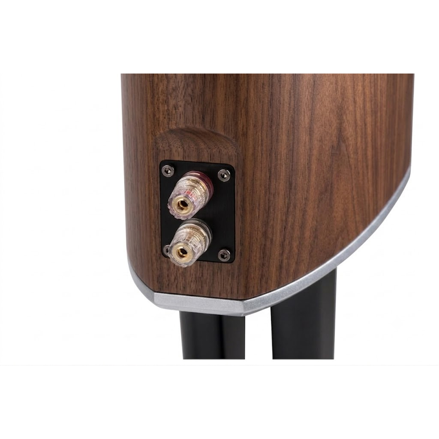 Scansonic HD MB1 B Regallautsprecher Anschlussfeld mit Schraubklemmen in Walnuss