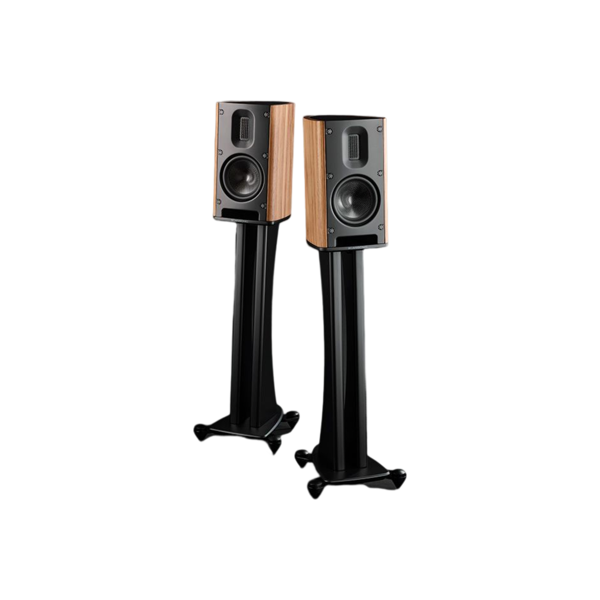 Scansonic HD MB1 B Regallautsprecher Stereopaar in Walnuss auf Ständern, Front- und Rückansicht