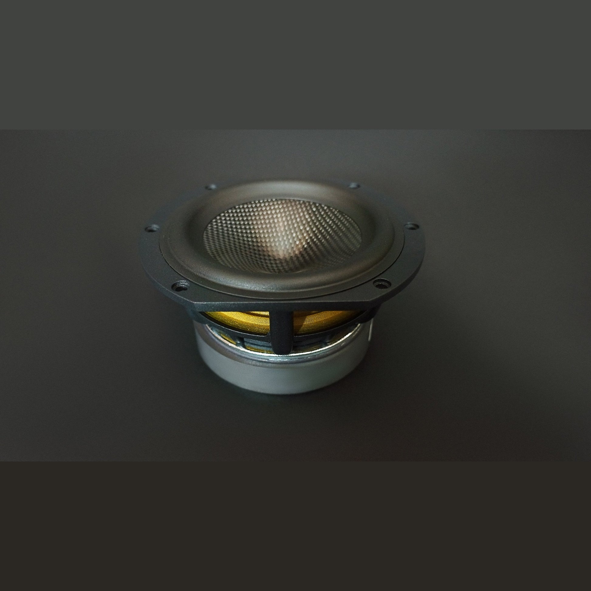 Scansonic HD MB2.5 B Standlautsprecher Detailansicht des Tief-/Mitteltöner-Chassis von vorn