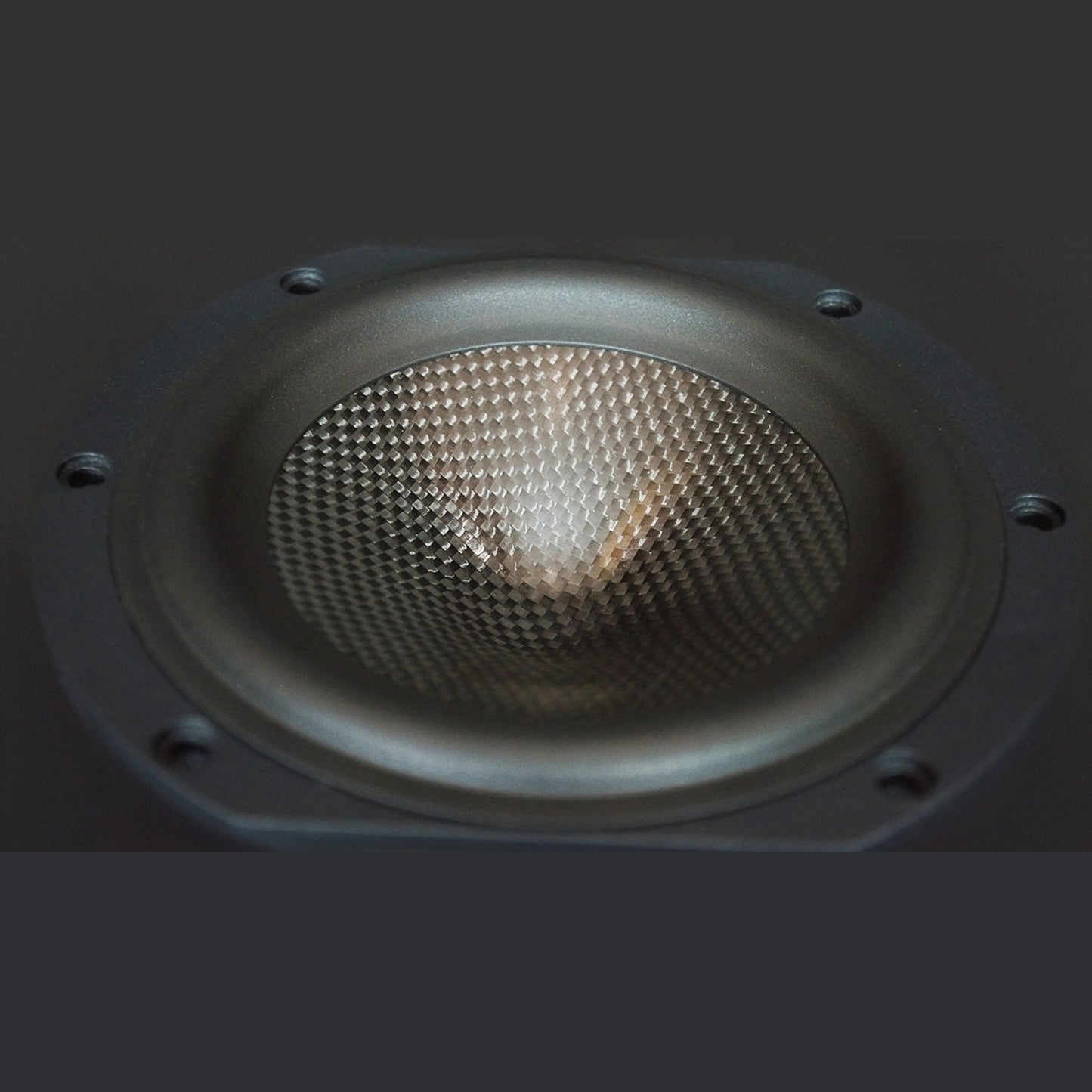 Scansonic HD MB5 B Standlautsprecher Detailansicht Membran des Tief-/Mitteltöners