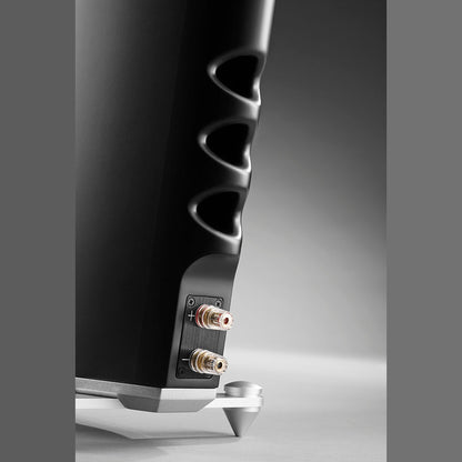 Scansonic HD MB6 B Standlautsprecher Rückansicht mit Bassreflexöffnungen und Anschlussterminal in Schwarz