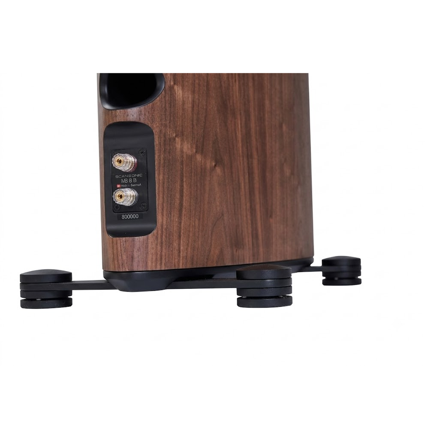 Scansonic HD MB8 B Standlautsprecher Anschlussfeld mit Schraubklemmen in Walnuss
