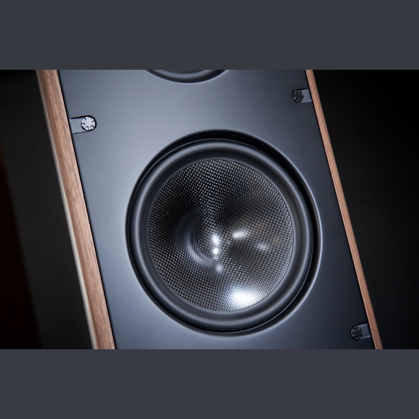 Scansonic HD MB8 B Standlautsprecher Detailansicht Tieftöner mit Carbon-Membran in Walnuss